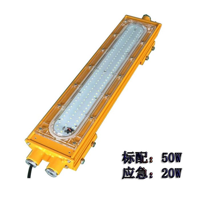 BFC8411 LED防爆泛光灯