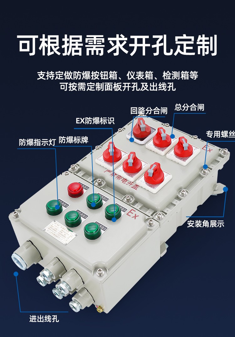 防爆动力配电箱(BXD)-1.jpg