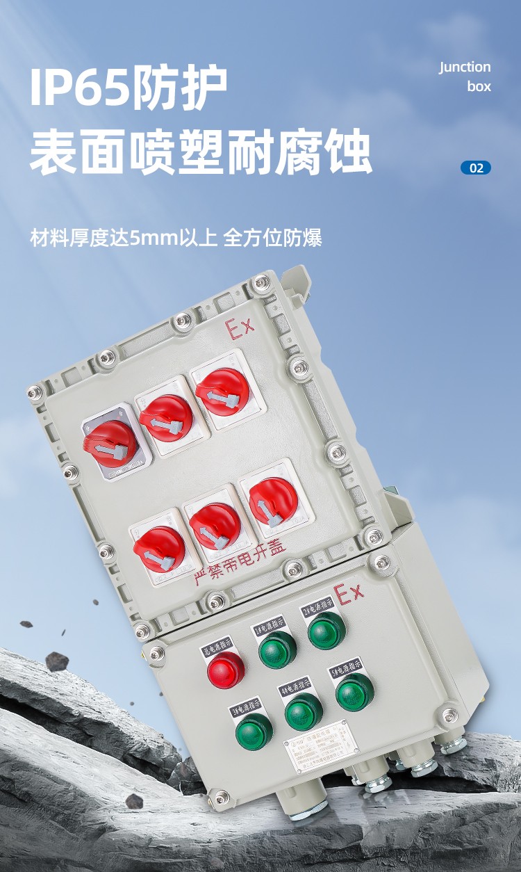 防爆动力配电箱(BXD)-4.jpg